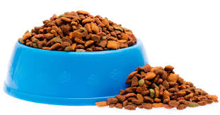 Champion Premium All Life Stages Dog Food – 15 KG