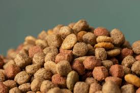 Prochoice Fit And Healthy Adult Dog Food – Lamb And Rice